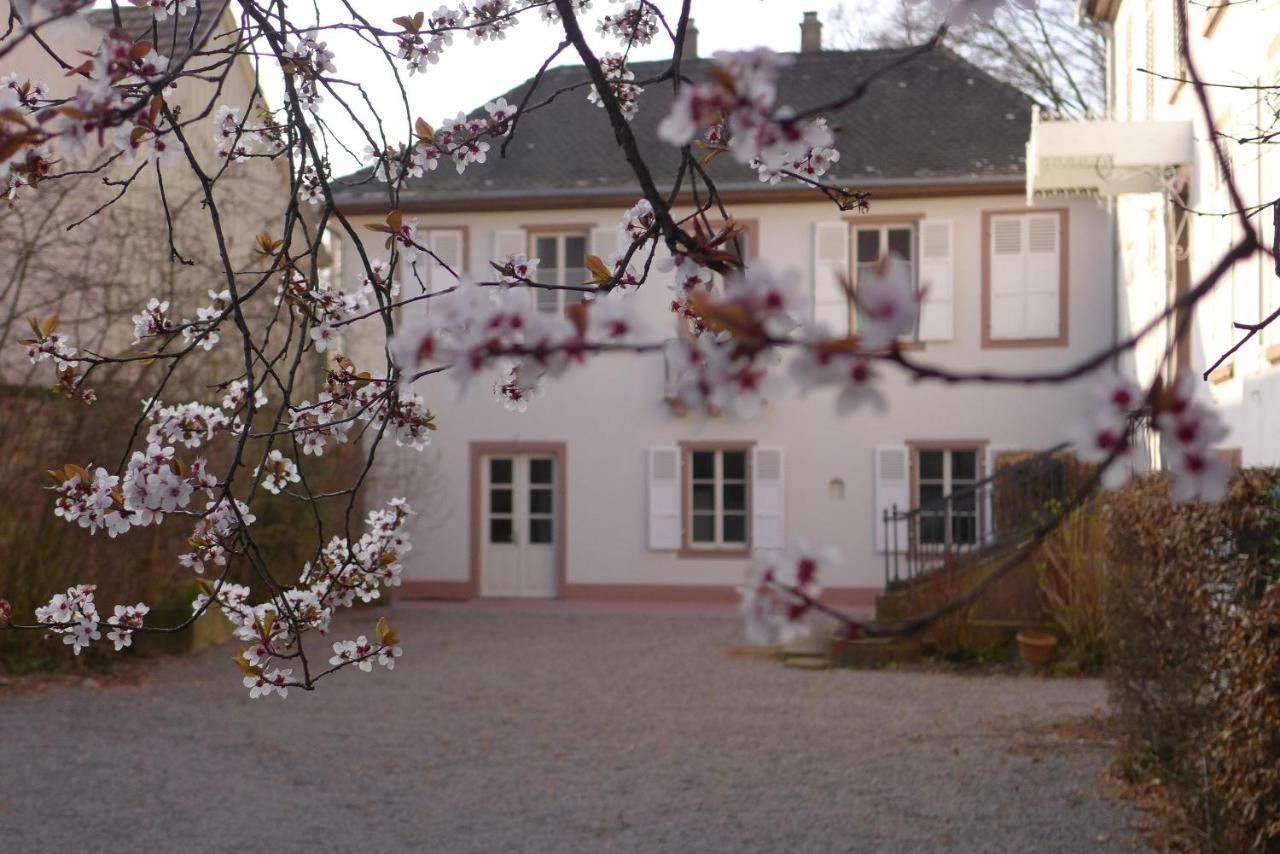 La Maison Carre Wolxheim Exterior photo
